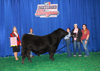 Bred-and-owned Reserve Junior Champion Bull