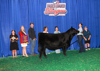 Owned Junior Champion Heifer--division 2
