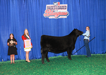 Owned Reserve Junior Champion Heifer--division 2