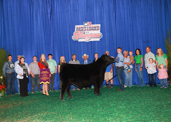 Grand Champion Steer