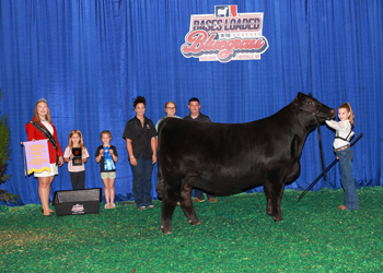 Reserve Junior Champion Heifer--Division 7