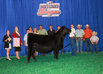 Reserve Junior Champion Heifer Div 2