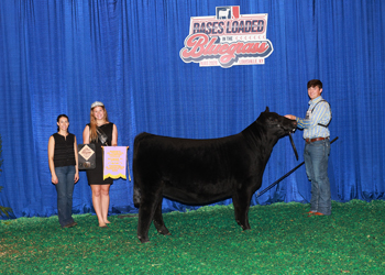 Reserve Junior Champion Heifer--Division 6
