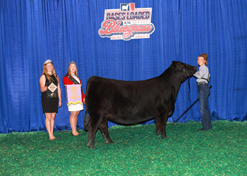 Owned Reserve Junior Champion Heifer--division 5