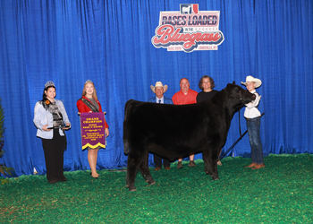 Grand Champion Bred-and-owned Steer