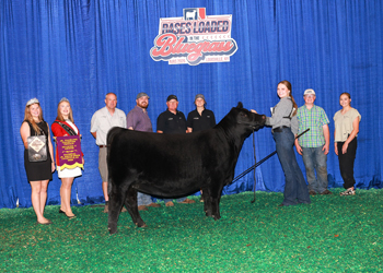 Owned Junior Champion Heifer--division 5
