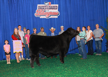 Reserve Grand Champion Bred-and-owned Steer