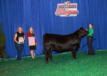 Reserve Bred-and-Owned PGS Heifer Ch-Division 3