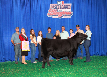 Bred-and-owned Reserve Senior Bull Calf Champion