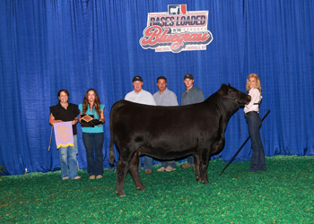 PGS Reserve Heifer Division 4