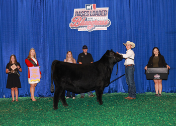 Owned Reserve Junior Champion Heifer--division 1
