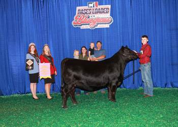 Reserve Bred-and-Owned PGS Heifer Ch-Division 2