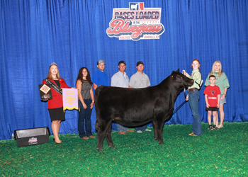 PGS Reserve Heifer Division 1