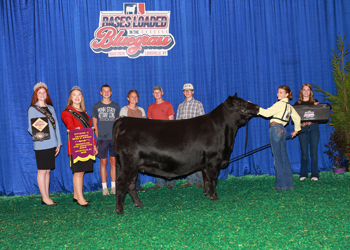 Bred-and-Owned PGS Heifer Ch-Division 2