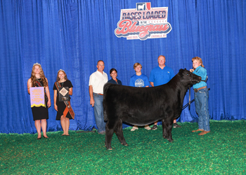 Reserve Senior Heifer Calf Champion--Division 3