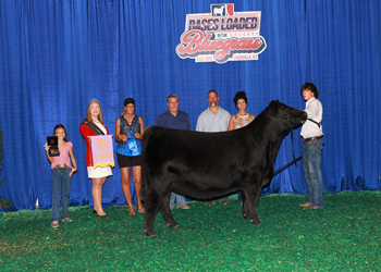 Owned Reserve Junior Champion Heifer--division 3