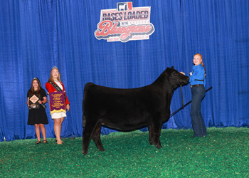 Owned Junior Champion Heifer--division 1