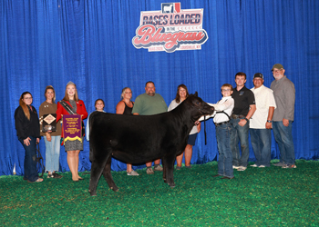 Senior Heifer Calf Champion--Division 2