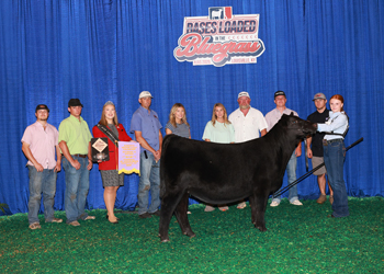 Reserve Senior Heifer Calf Champion--Division 2