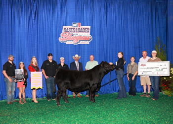 Reserve Grand Champion PGS Bull
