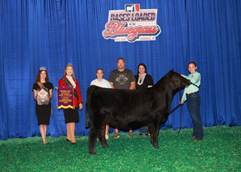 Senior Heifer Calf Champion Div 1
