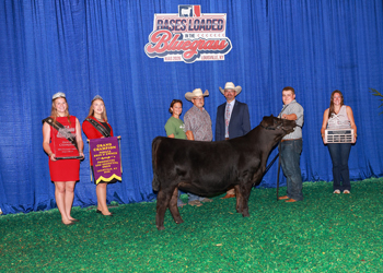 Grand Champion Bred-and-Owned PGS Female & Div 1