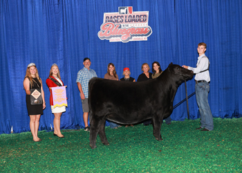 Owned Reserve Junior Champion Heifer--division 4