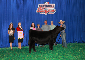 Reserve Senior Heifer Calf Champion Div 1