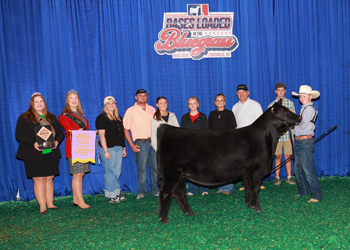 Reserve Senior Heifer Calf Champion--Division 1