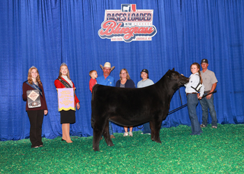 Reserve Senior Heifer Calf Champion Div 2