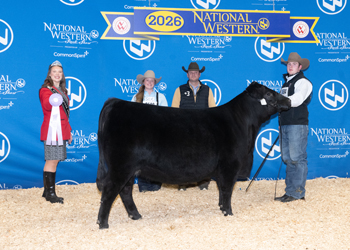 PGS Reserve Heifer Division 3