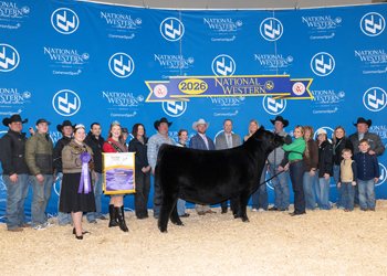 Grand Champion Female