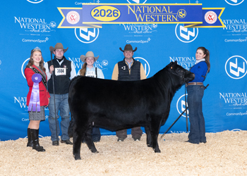 PGS Heifer Division 2