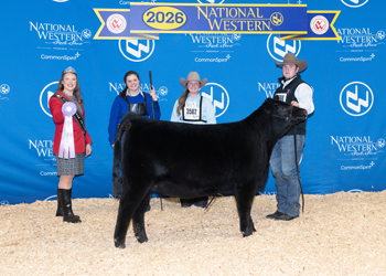 PGS Reserve Heifer Division 1