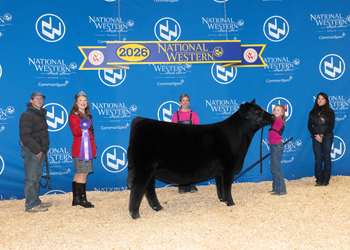 Senior Heifer Calf Champion