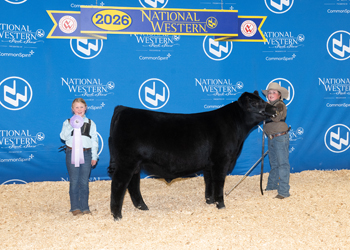 PGS Reserve Bull Division 1