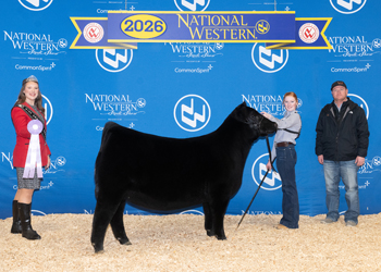 Reserve Junior Heifer Calf Champion - Div 1