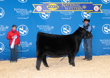 Reserve Junior Heifer Calf Champion - Div 3