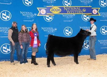 Junior Heifer Calf Champion - Div 1