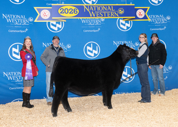 Junior Heifer Calf Champion - Div 3