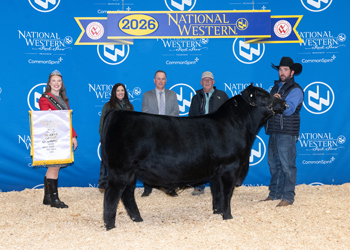 Reserve Grand Champion PGS Bull