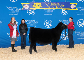 Reserve Junior Heifer Calf Champion - Div 2