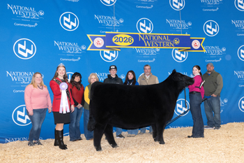 Reserve Intermediate Champion Heifer
