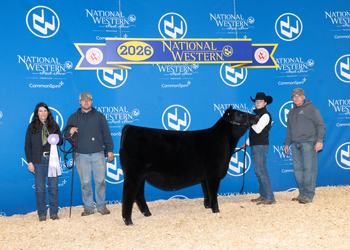 Bred-and-owned Reserve Senior Heifer Calf Champion