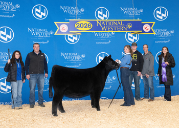 Bred-and-owned Junior Heifer Calf Champion