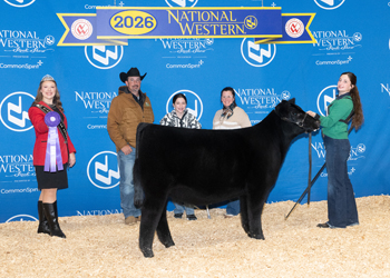 Summer Heifer Calf Champion