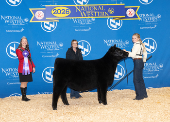 Bred-and-owned Summer Heifer Calf Champion