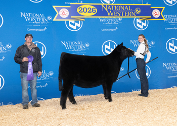 Junior Heifer Calf Champion
