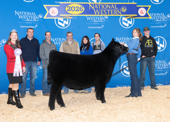 Reserve Junior Heifer Calf Champion