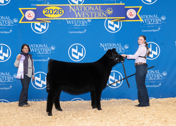 Reserve Summer Heifer Calf Champion